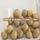 Canned whole button mushroom 425G